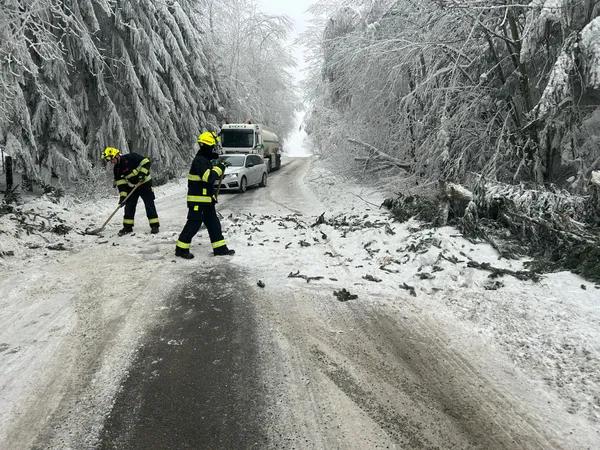 Fotografie z události