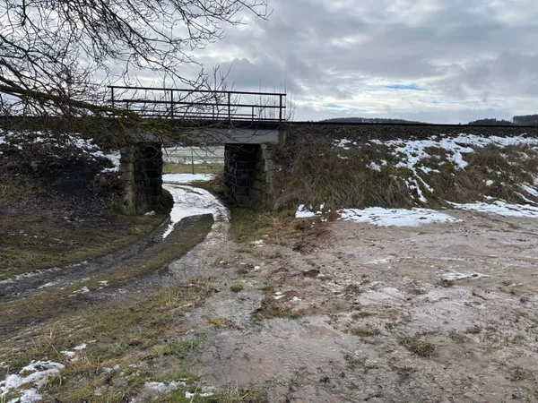 Fotografie z události