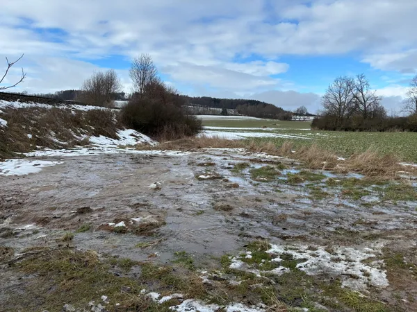 Fotografie z události